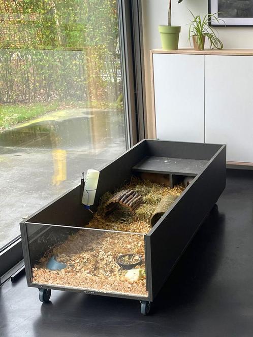 Groot stijlvol caviahok, Dieren en Toebehoren, Knaagdieren en Konijnen | Hokken en Kooien, Gebruikt, Hok, Minder dan 60 cm, 110 cm of meer