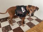 EZY Dog Summit backpack Large, Dieren en Toebehoren, Honden-accessoires, Ophalen of Verzenden