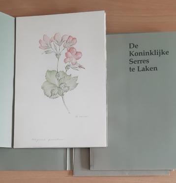 "DE KONINKLIJKE SERRES TE LAKEN ". beschikbaar voor biedingen