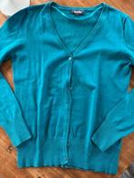 Vest maat L, Blauw, Ophalen of Verzenden, Zo goed als nieuw, Maat 42/44 (L)