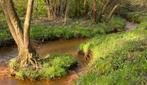 Bos, weiland, natuur te koop gezocht, Immo
