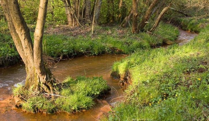 Bos, weiland, natuur te koop gezocht, Immo, Gronden en Bouwgronden