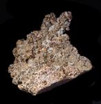 Zéér zeldzame WHEWELLIET kristallen uit Tsjechië., Enlèvement ou Envoi, Minéral