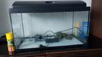 AQUARIUM 60L + toebehoren, Dieren en Toebehoren, Ophalen, Gebruikt, Leeg aquarium
