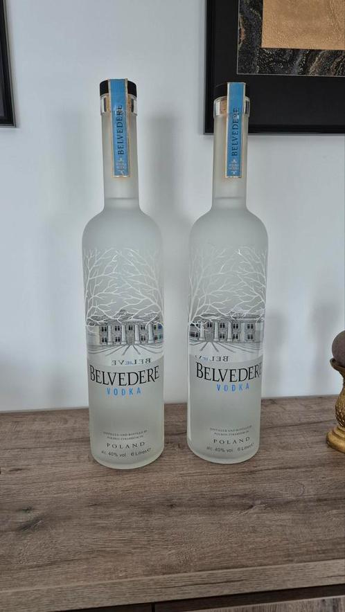2x Belvedere 6L (Factice) neuves scellées, Verzamelen, Wijnen, Nieuw, Ophalen