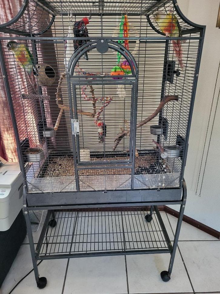 Grote papegaaienkooi 82 x 45 x 155 cm, Dieren en Toebehoren, Vogels | Hokken en Kooien, Gebruikt, Vogelkooi, Metaal, Ophalen