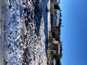 Terrain à bâtir, Manhay, 500 à 1000 m²