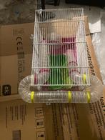 Hamsterkooi, Dieren en Toebehoren, Ophalen, Kooi, Hamster