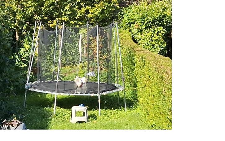 trempoline decthlon 300-360cm, Enfants & Bébés, Jouets | Extérieur | Trampolines, Utilisé, Enlèvement