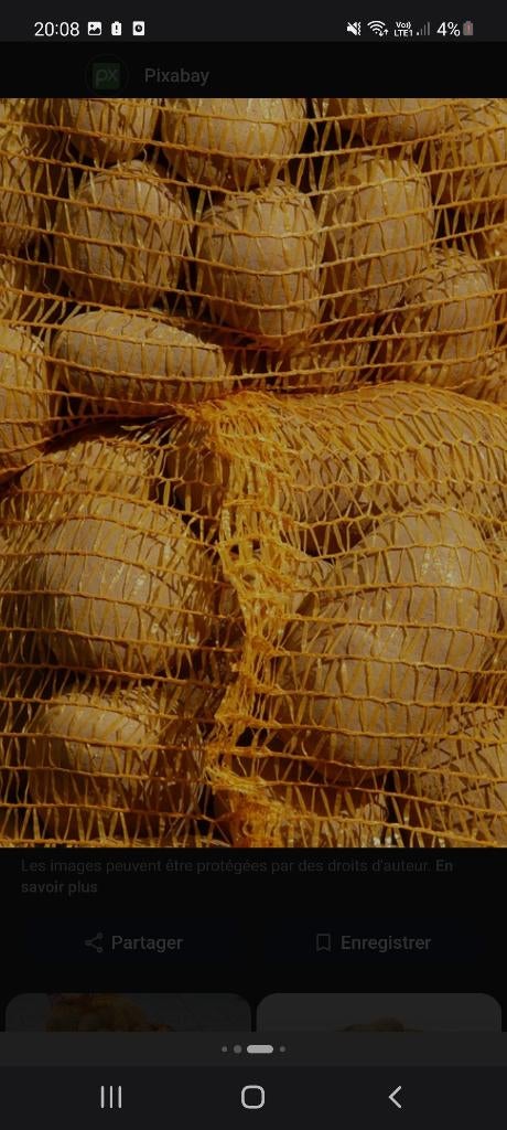 Pomme de terrre, Articles professionnels, Enlèvement