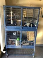 Cage XXL, Enlèvement, Utilisé