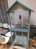 Volière met vogel, Dieren en Toebehoren, Ophalen, Volière