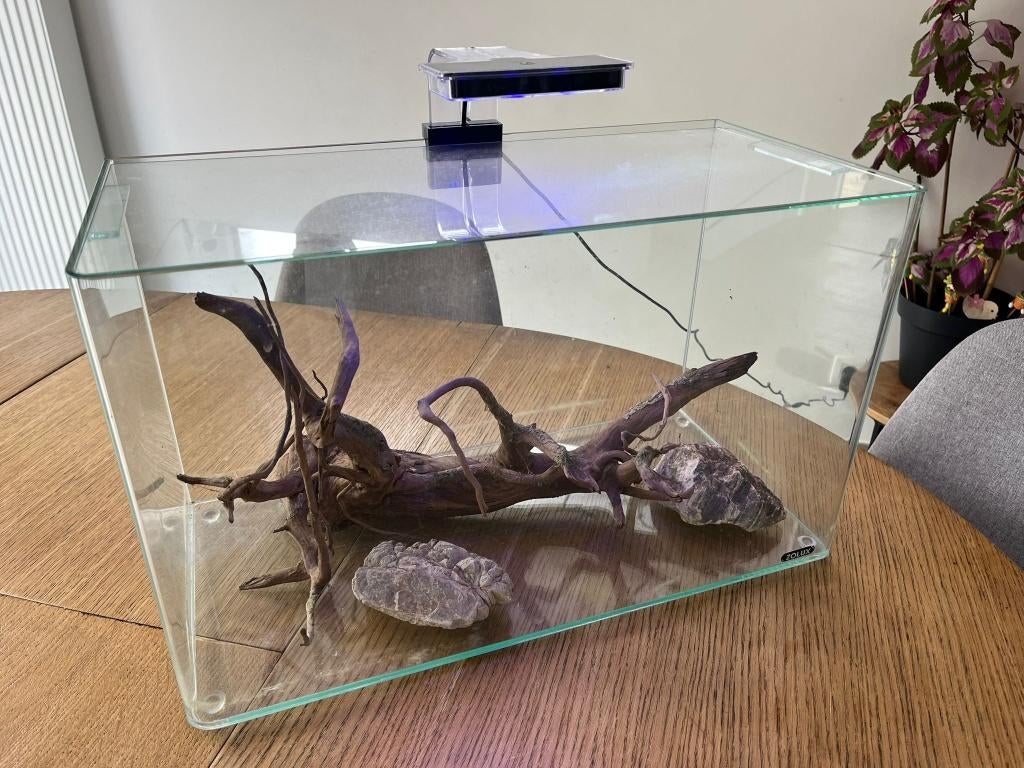 Aquarium 37L complet, Animaux & Accessoires, Enlèvement, Comme neuf