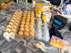 Medela Swing Maxi dubbele elektrische borstkolf + accesoires, Kinderen en Baby's, Babyvoeding en Toebehoren, Ophalen, Borstkolf
