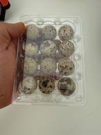 broedeieren van Japanse kwartels jumbo, Dieren en Toebehoren