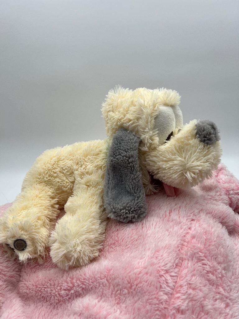 Ours en peluche Pluto Disneyland Paris, taille M, Collections, Disney, Comme neuf, Peluche, Dingo ou Pluto, Enlèvement ou Envoi
