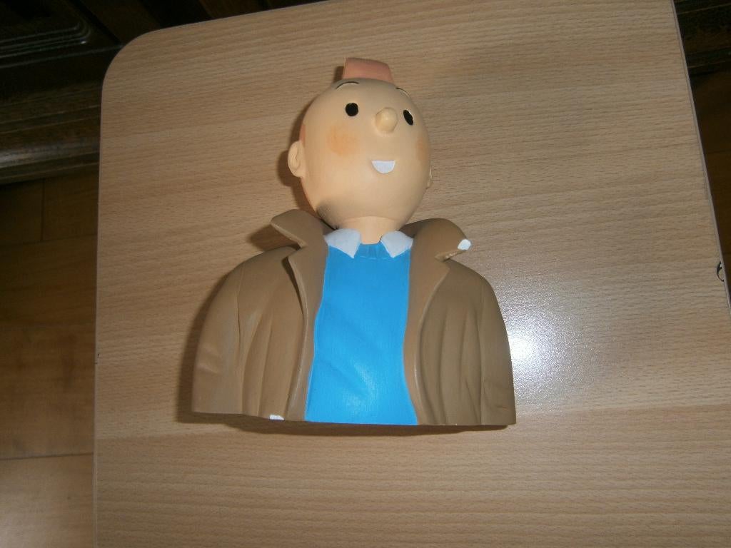 TINTIN, Envoi, Tintin