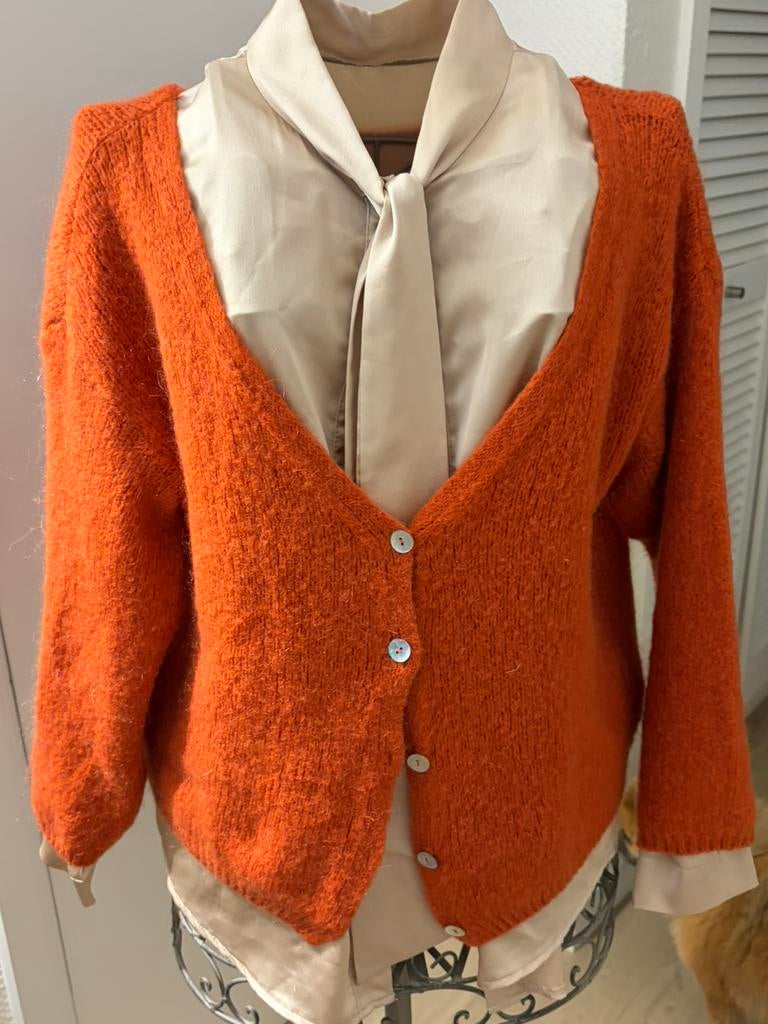 Hippe gilet, Kleding | Dames, Truien en Vesten, Ophalen of Verzenden, Zo goed als nieuw