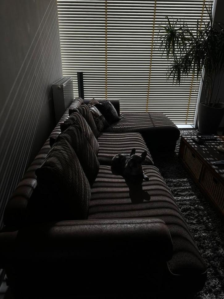 leren zetel van Natuzzi, model karma, bruin leer.3,20/1,60M, Maison & Meubles, Canapés | Coins salons complets, Comme neuf, Cuir