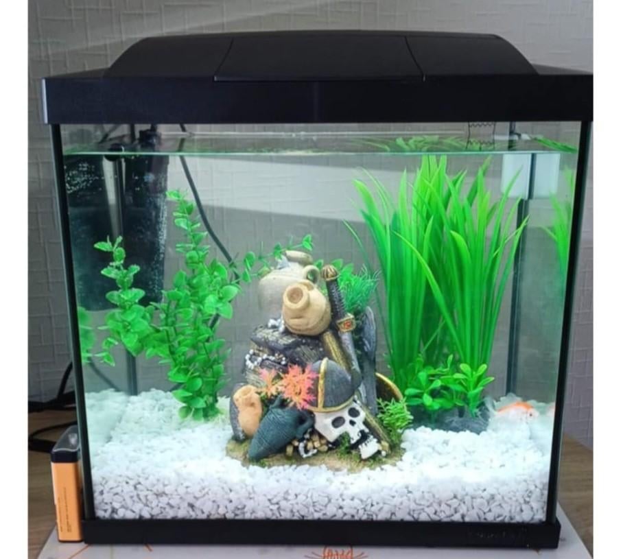 Vis aquarium 25 liter met led belichting en binnen filter, Ophalen, Filter