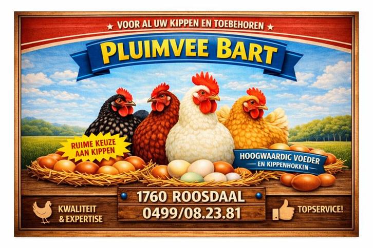 legkippen / sierkippen in alle kleurslagen vanaf 8,5 euro, Dieren en Toebehoren, Pluimvee, Kip, Vrouwelijk