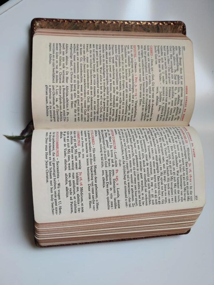 Brepols dagmissaal en bijbel, het nieuwe testament, psalmen, Boeken, Godsdienst en Theologie, Gelezen, Christendom | Katholiek