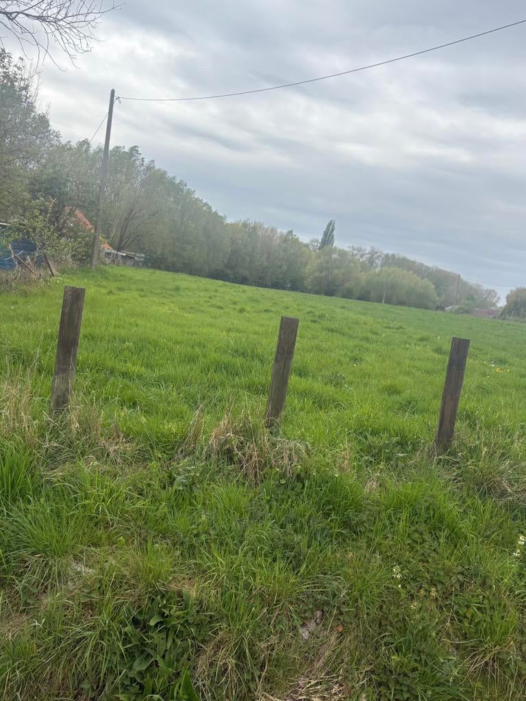 PÂTURAGE POUR CHIENS, Animaux & Accessoires, Box & Pâturages