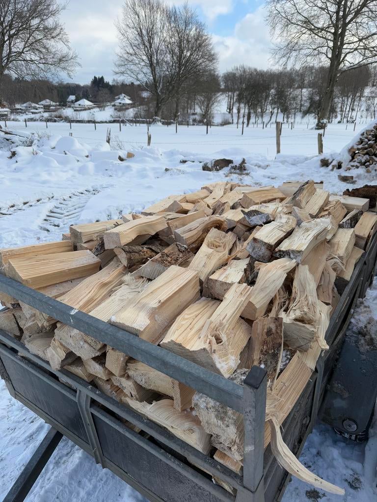 Bois de chauffage (malmedy), Tuin en Terras, 6 m³ of meer, Ophalen of Verzenden, Eikenhout, Blokken