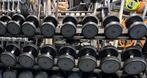 Technogym pu rubberen dumbells dumbell set 10-40 kg gewicht, Sport en Fitness, Gebruikt, Dumbbell, Ophalen