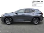 Lexus NX 350h Executive Line + HUD, Argent ou Gris, Achat, 2487 cm³, 5 portes