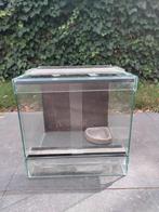 Terrarium 303030 + waterbakje, Dieren en Toebehoren, Ophalen, Zo goed als nieuw, Terrarium of Paludarium