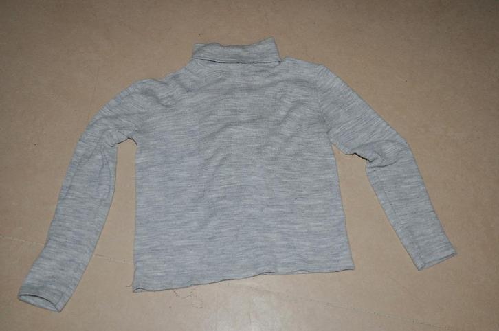 Licht-grijze sous-pull - small, Kleding | Dames, Blouses en Tunieken, Gedragen, Maat 36 (S), Grijs, Ophalen of Verzenden