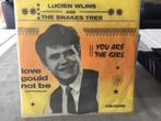 Lucien wijns & thesnake tree you are The girl, CD & DVD, Vinyles Singles, 7 pouces, Pop, Utilisé, Enlèvement ou Envoi