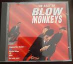 Cd - the best of blow monkeys, Ophalen of Verzenden, Gebruikt