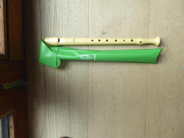 flûte à bec, Musique & Instruments, Instruments à vent | Flûtes à bec, Utilisé, Synthétique, Enlèvement