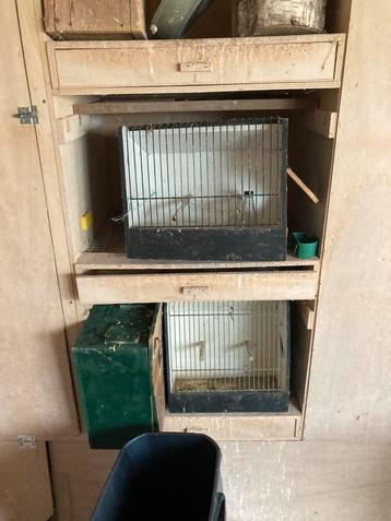 Vogelkooien om te showen beschikbaar voor biedingen