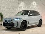BMW X5 3.0d xDrive M-Pack / H&K / 360 / Carbon, Cuir, Argent ou Gris, Achat, Entreprise