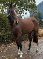 Sport, Antiek en Kunst, Ophalen of Verzenden