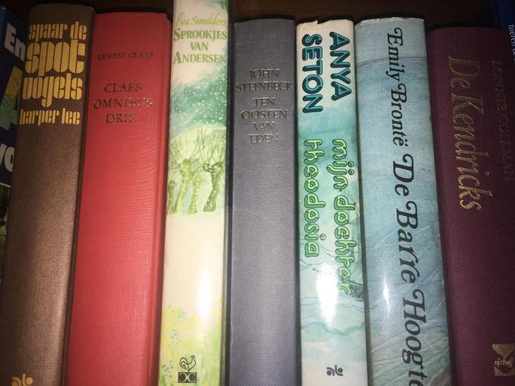 Boeken klassiekers harde mooie kaft, Boeken, Overige Boeken, Ophalen of Verzenden