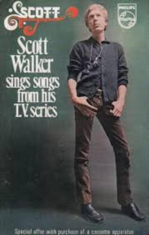 SCOTT WALKER SINGS FROM HIS TV SERIES, CD & DVD, Vinyles | Rock, Utilisé, Rock and Roll, Enlèvement ou Envoi