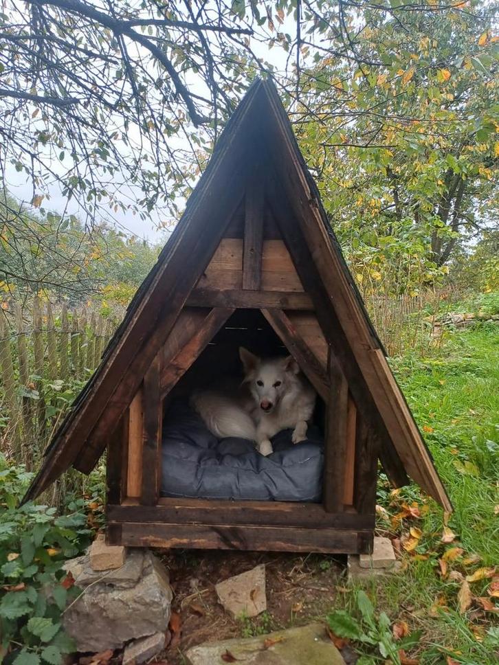 Niche faite maison, Animaux & Accessoires, Accessoires pour chiens, Enlèvement