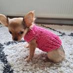 KOUD? Warme sweater hondentrui Chihuahua York Hond Handmade, Dieren en Toebehoren, Hondenkleding, Ophalen of Verzenden, Nieuw