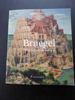 Bruegel, la main du maître, Enlèvement, Comme neuf, Peinture et dessin