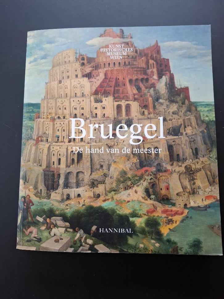 Bruegel, de hand van de meester, Boeken, Kunst en Cultuur | Beeldend, Zo goed als nieuw, Schilder- en Tekenkunst, Ophalen