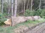 8 m lang  meer dan 1 M diameter. Ligt 2 jaar., Tuin en Terras, Brandhout, Ophalen