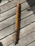 Mosstok 75cm, Huis en Inrichting, Kamerplanten, Ophalen, Minder dan 100 cm