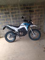 Moto Voge 300 rallye
