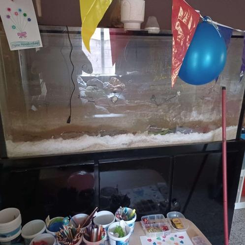 gratis grote zee aquarium met sump en skimmer, Dieren en Toebehoren, Vissen | Aquaria en Toebehoren, Gebruikt, Ophalen