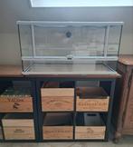 Terrarium, Animaux & Accessoires, Reptiles & Amphibiens | Accessoires, Enlèvement