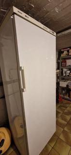Bosch congélateur colonne, Elektronische apparatuur, Vriezers en Diepvrieskisten, Ophalen of Verzenden, Vrieskast